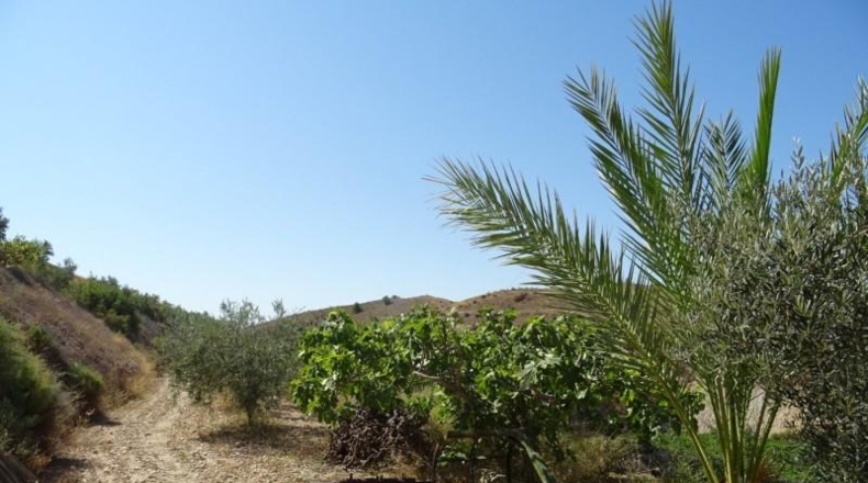 Cádiz - Arcos de la Frontera - 22775m2
