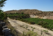 Xalet independent amb terreny en venda a la España, Arcos de la Frontera, ref.: TR363765 foto
