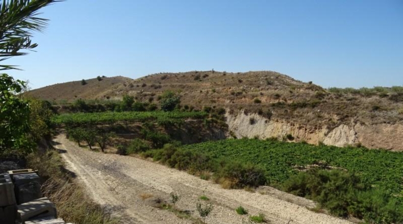Cádiz - Arcos de la Frontera - 22775m2