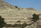 Non-developable land for sale on España, Aspe, ref: TR119655 photo