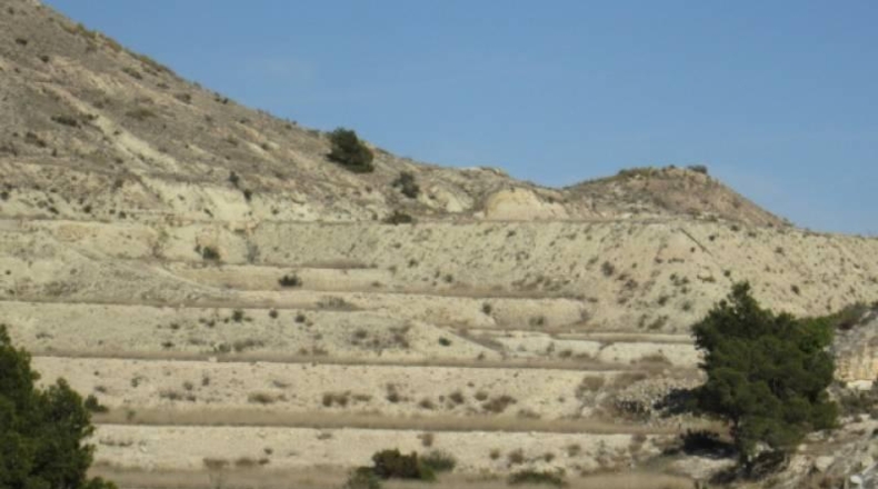 Alicante - Aspe - 75000m2