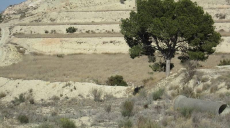 Alicante - Aspe - 75000m2