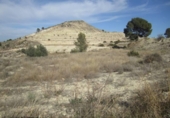 Non-developable land for sale on España, Aspe, ref: TR119655 photo
