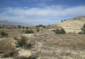 Non-developable land for sale on España, Aspe, ref: TR119655 photo