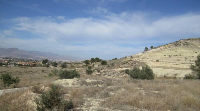 Alicante - Aspe - 75000m2