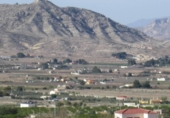 Non-developable land for sale on España, Aspe, ref: TR119655 photo