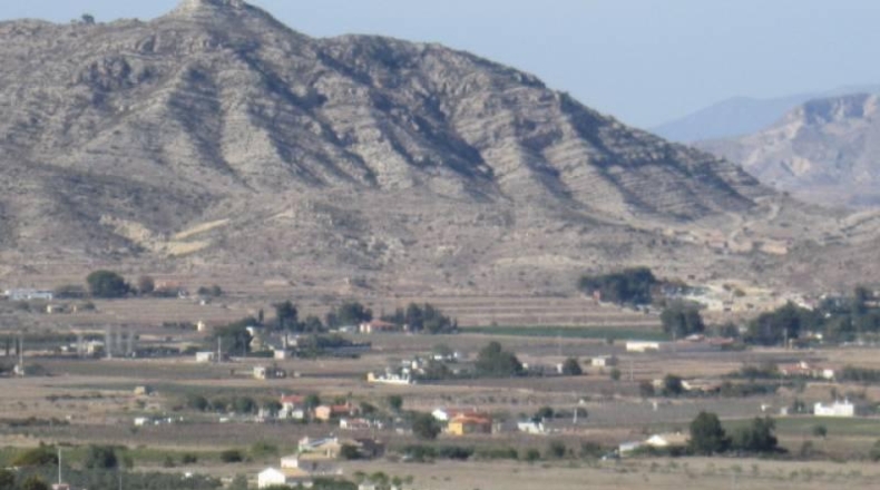 Alicante - Aspe - 75000m2