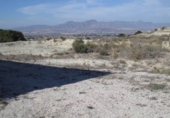Non-developable land for sale on España, Aspe, ref: TR119655 photo