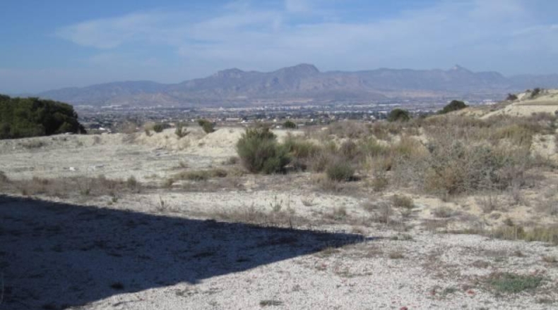 Alicante - Aspe - 75000m2