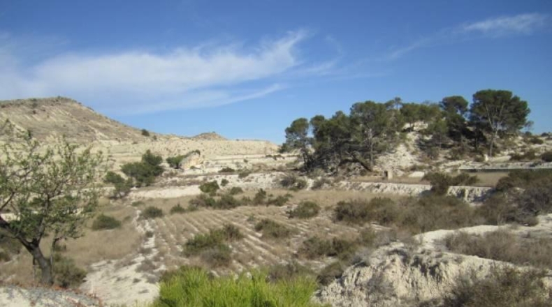 Alicante - Aspe - 75000m2