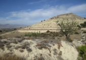 Non-developable land for sale on España, Aspe, ref: TR119655 photo