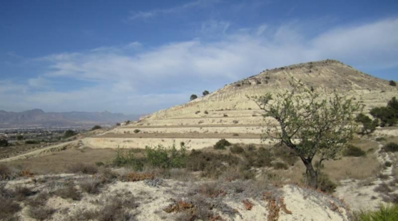 Alicante - Aspe - 75000m2