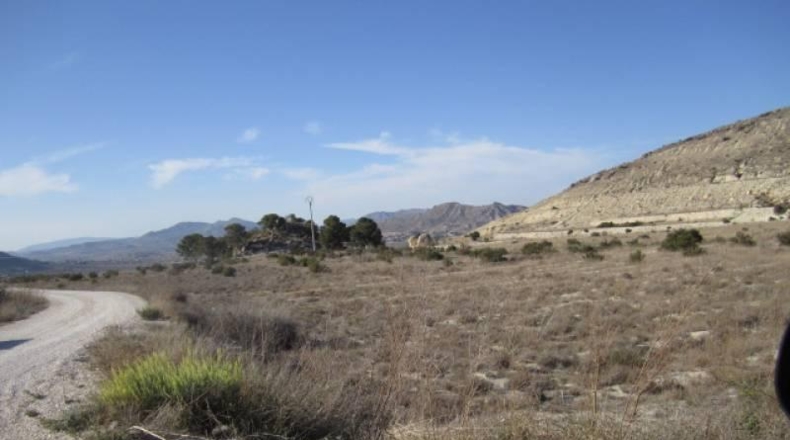Alicante - Aspe - 75000m2