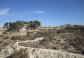 Non-developable land for sale on España, Aspe, ref: TR119655 photo