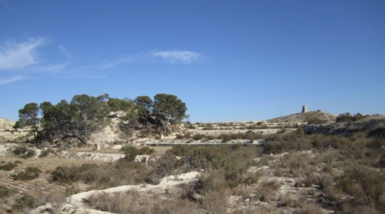Alicante - Aspe - 75000m2