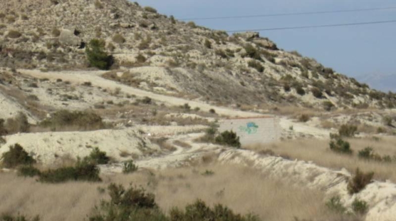 Alicante - Aspe - 75000m2