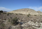 Non-developable land for sale on España, Aspe, ref: TR119655 photo