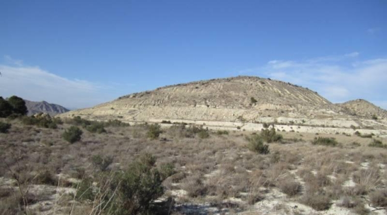 Alicante - Aspe - 75000m2
