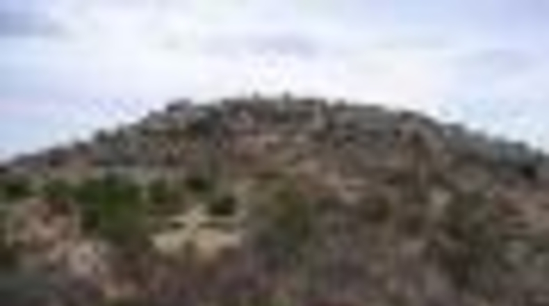 Alicante - San Vicente del Raspeig - 97286m2