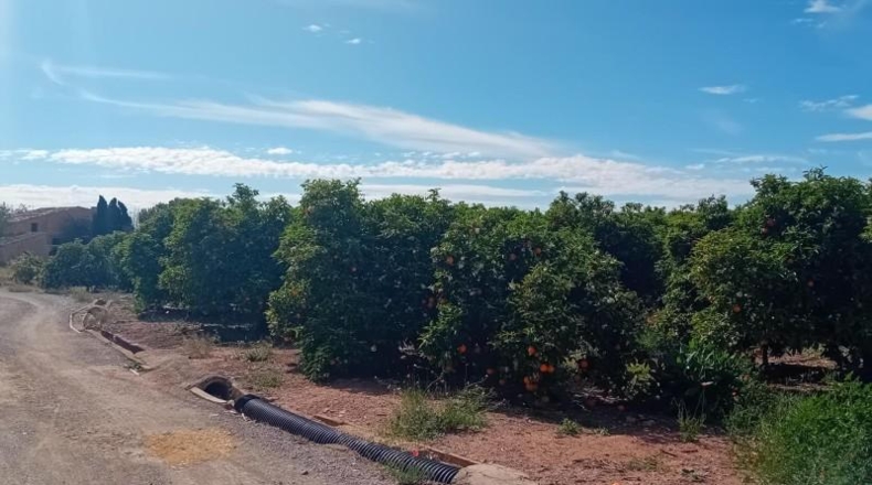 Alicante - San Vicente del Raspeig - 97286m2