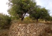 Terreny no urbanitzable en venda a la España, Altea, ref.: TR277317 foto