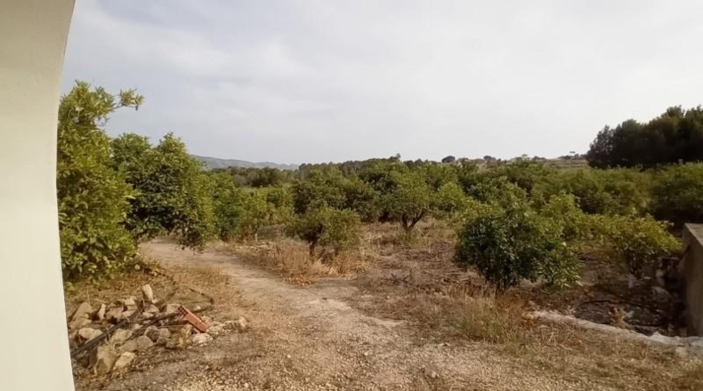 Alicante - Altea - 6744m2