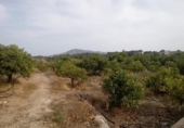 Terreny no urbanitzable en venda a la España, Altea, ref.: TR277317 foto