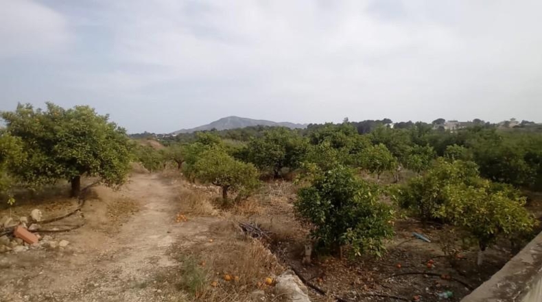 Alicante - Altea - 6744m2