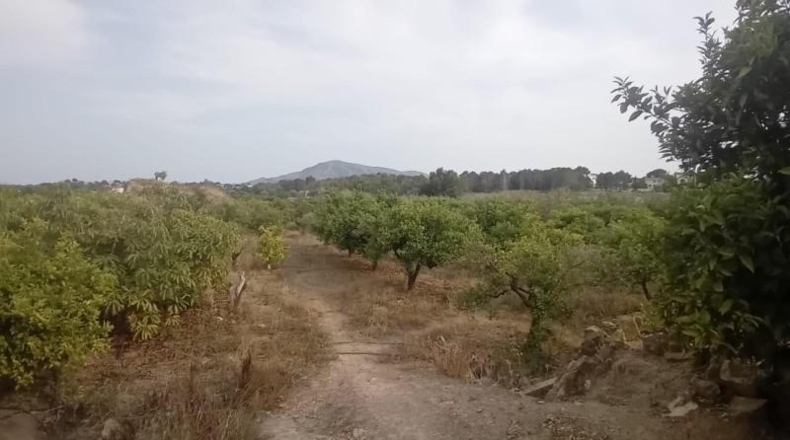 Alicante - Altea - 6744m2