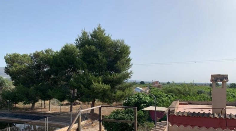 Alicante - Albatera - 16000m2