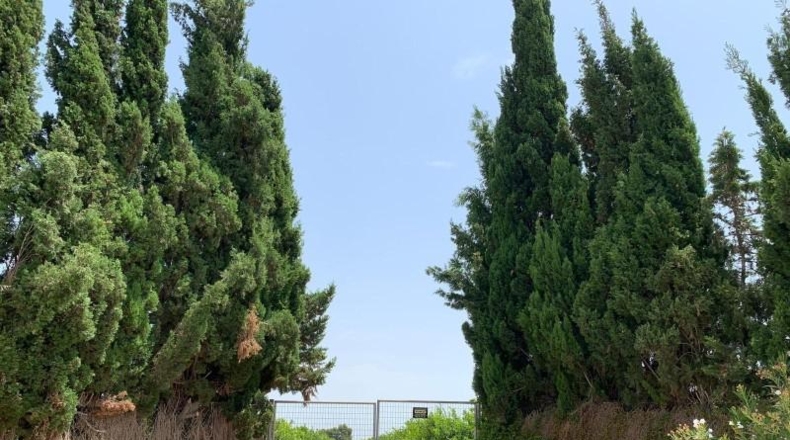 Alicante - Albatera - 16000m2