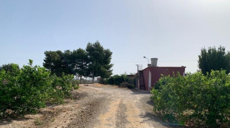 Alicante - Albatera - 16000m2