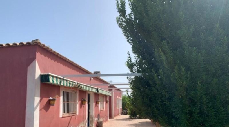 Alicante - Albatera - 16000m2