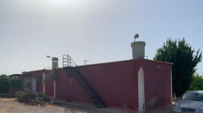 Alicante - Albatera - 16000m2