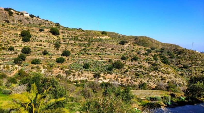 Almeria - Bédar - 1847m2
