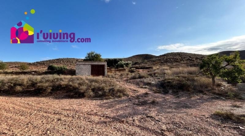 Almería - Albox - 11000m2