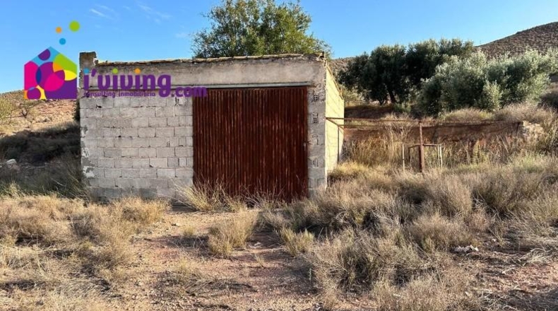 Almería - Albox - 11000m2