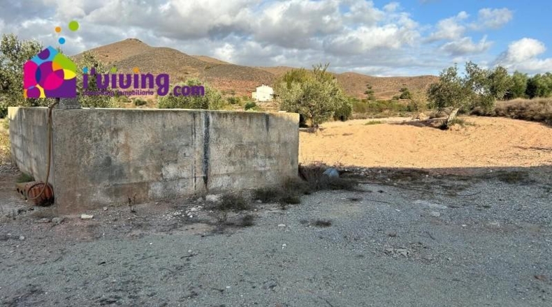 Almería - Albox - 11000m2