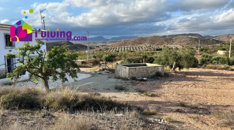 Almería - Albox - 11000m2