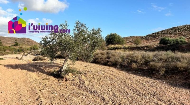 Almería - Albox - 11000m2