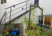 Дом с участком на продажу в городе Херес-де-ла-Фронтера Фото