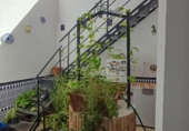 Дом с участком на продажу в городе Херес-де-ла-Фронтера Фото