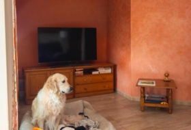 Foto 12