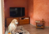 Casa de pueblo en venta en la España, Bocairent, ref: TR360481 foto
