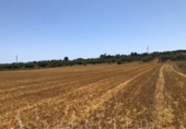 Non-developable land for sale on España, Manacor, ref: TR113127 photo