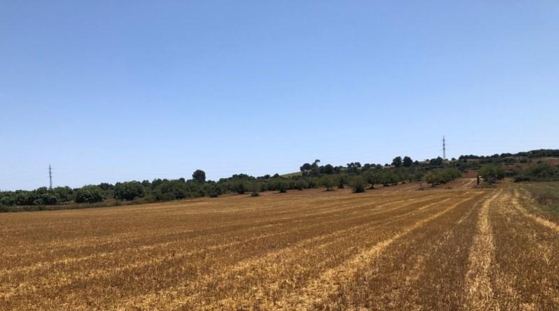 Balearic Islands - Manacor - 22169m2