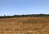 Non-developable land for sale on España, Manacor, ref: TR113127 photo