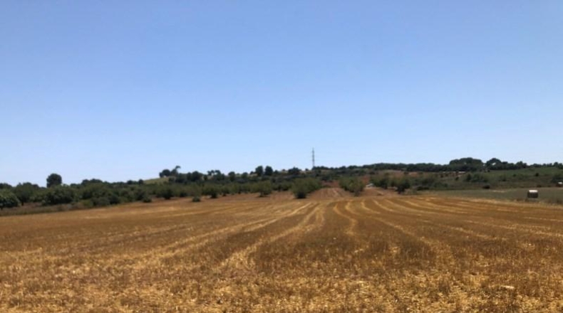 Balearic Islands - Manacor - 22169m2