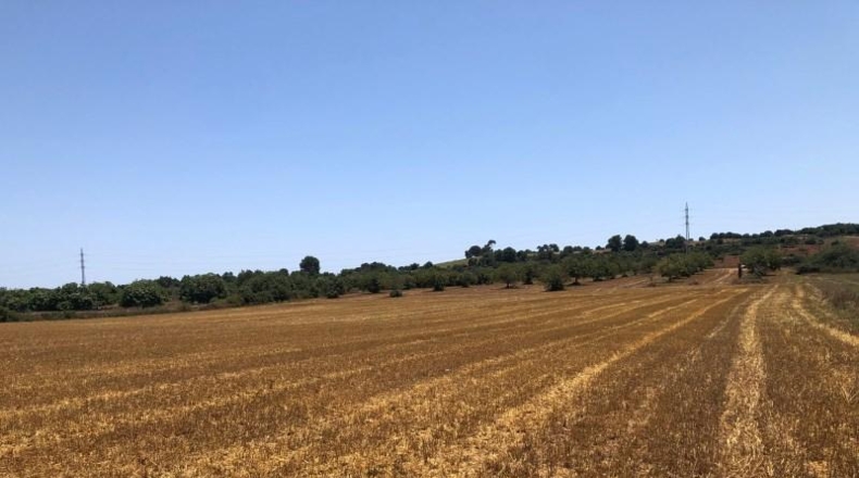 Balearic Islands - Manacor - 22169m2