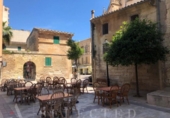 Non-developable land for sale on España, Manacor, ref: TR113127 photo